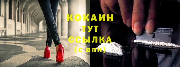 индика Кулебаки