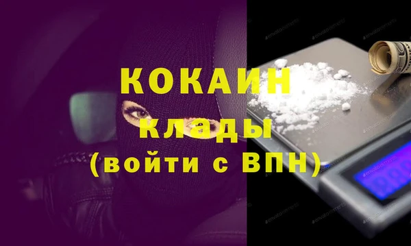 индика Кулебаки
