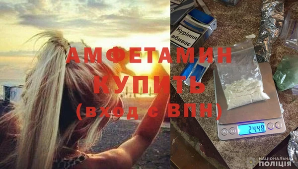 индика Кулебаки