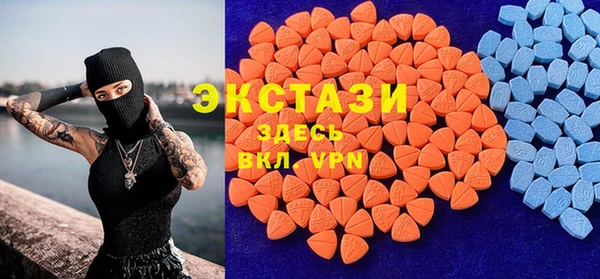 индика Кулебаки