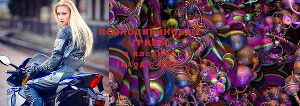 индика Кулебаки