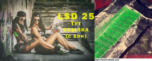 индика Кулебаки