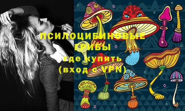 индика Кулебаки