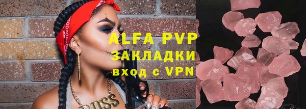 индика Кулебаки