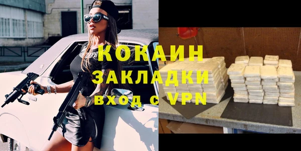 индика Кулебаки