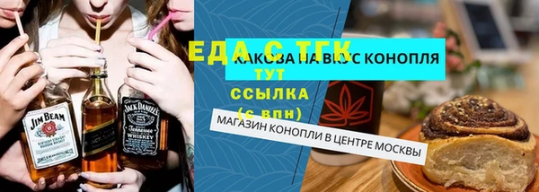 индика Кулебаки