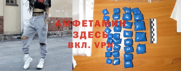индика Кулебаки